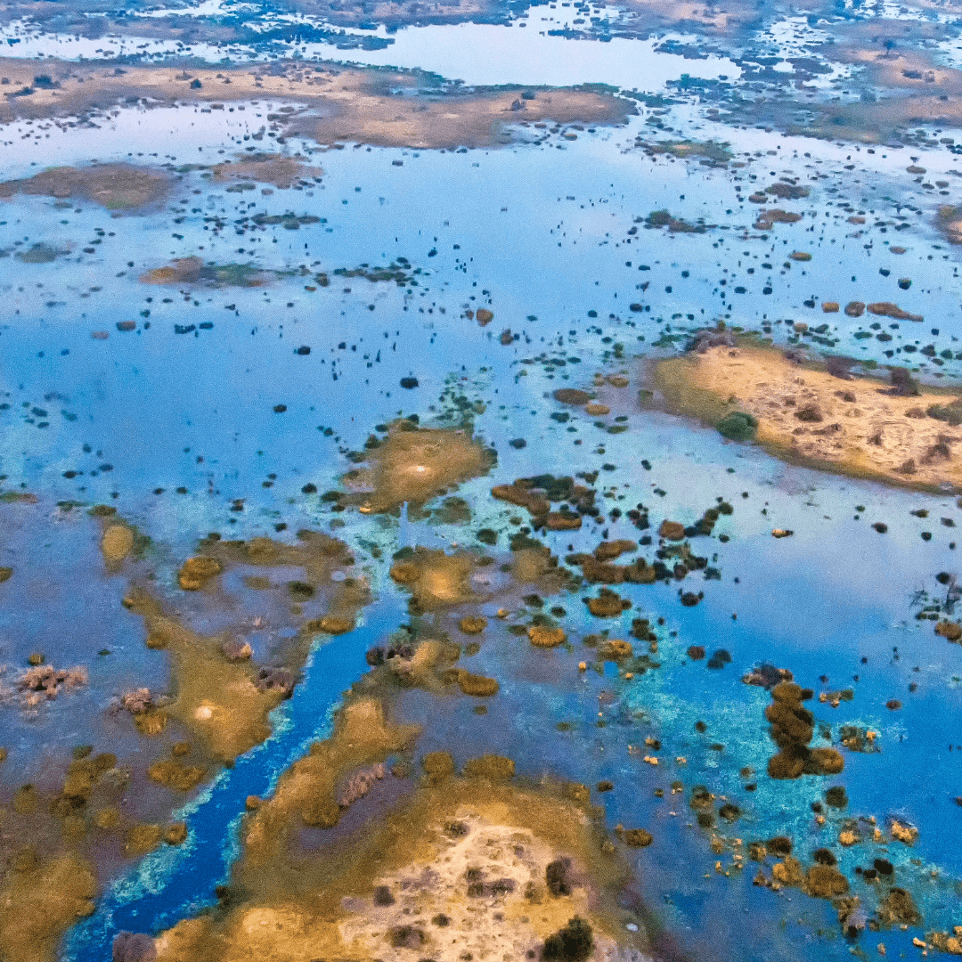 8 Days Botswana's Authentic Delta + Game Reserves